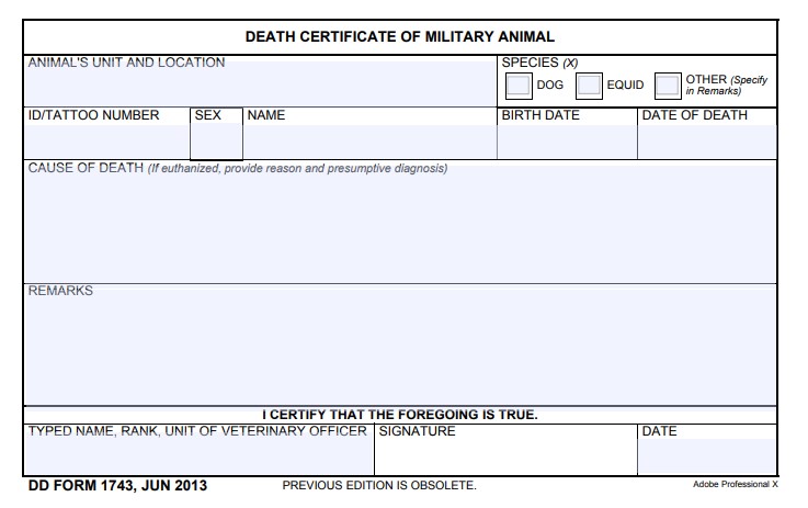 Download Fillable dd Form 1743