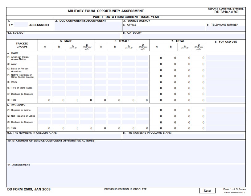 DD Form 2509 form preview