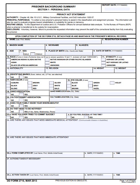 DD Form 2710 form preview